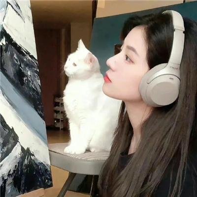 中国式相亲