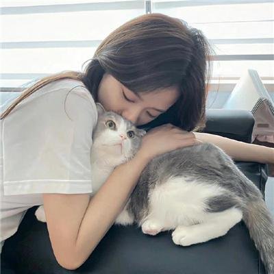 岛：消失的人们